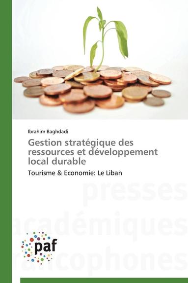 bokomslag Gestion Strategique Des Ressources Et Developpement Local Durable