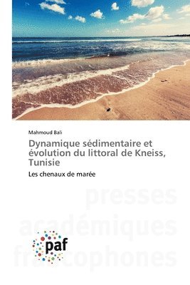 bokomslag Dynamique sdimentaire et volution du littoral de Kneiss, Tunisie
