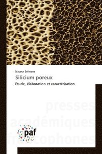 bokomslag Silicium poreux