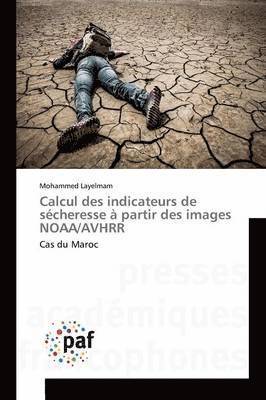 bokomslag Calcul Des Indicateurs de Secheresse A Partir Des Images Noaa/Avhrr