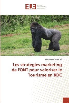 Les strategies marketing de l'ont pour valoriser le tourisme en rdc 1