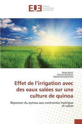 bokomslag Effet de L Irrigation Avec Des Eaux Salées Sur Une Culture de Quinoa