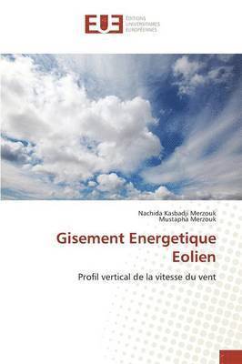 Collectif, Nachida Kasbadji Merzouk, Mustapha Merzouk - Gisement Energetique Eolien, Häftad