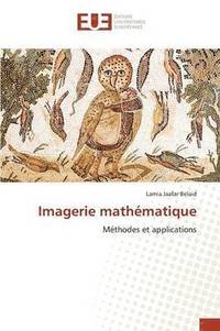 bokomslag Imagerie Mathématique