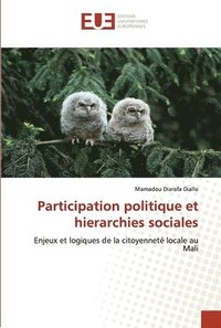bokomslag Participation politique et hierarchies sociales