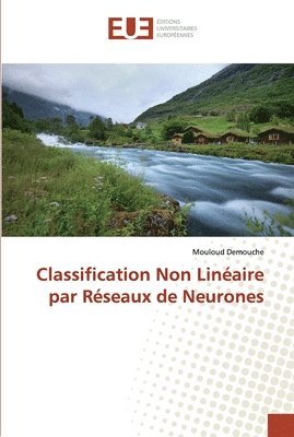 Classification Non Lineaire par Reseaux de Neurones 1