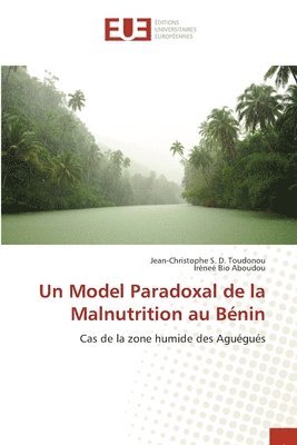 bokomslag Un Model Paradoxal de la Malnutrition au Bnin
