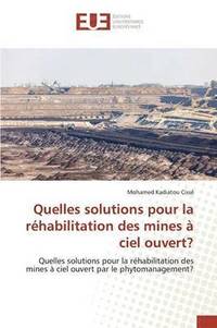 bokomslag Quelles solutions pour la rhabilitation des mines  ciel ouvert?