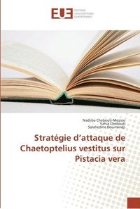 bokomslag Stratgie d'attaque de Chaetoptelius vestitus sur Pistacia vera