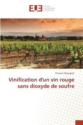 bokomslag Vinification d'un vin rouge sans dioxyde de soufre