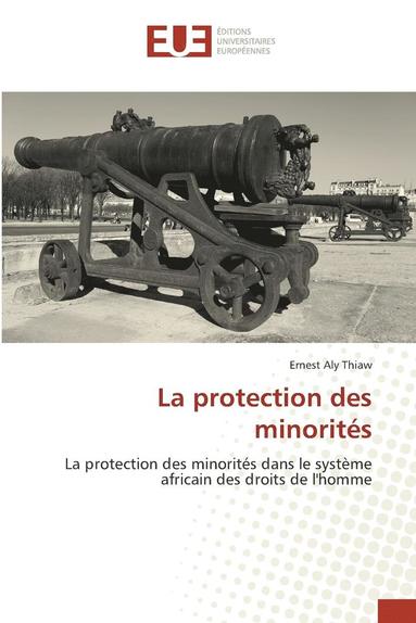 bokomslag La Protection Des Minorit?s