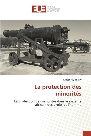 bokomslag La Protection Des Minorits