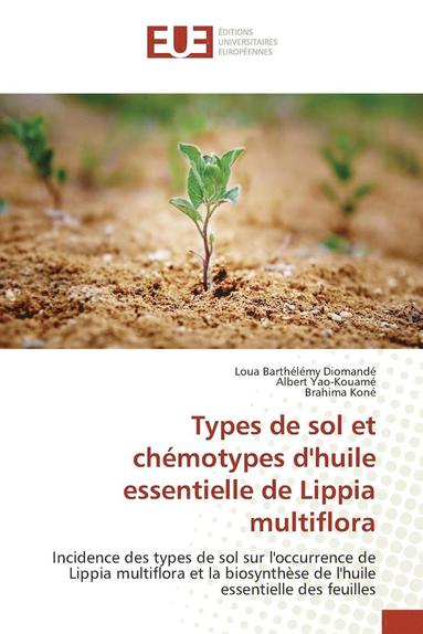 bokomslag Types de Sol Et Chmotypes Dhuile Essentielle de Lippia Multiflora