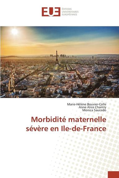 bokomslag Morbidité Maternelle Sévère En Ile-De-France