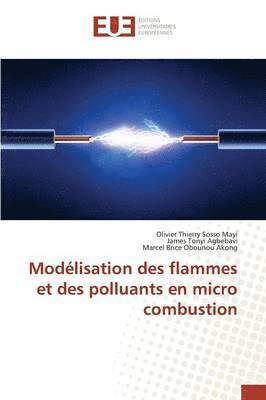 bokomslag Modélisation Des Flammes Et Des Polluants En Micro Combustion