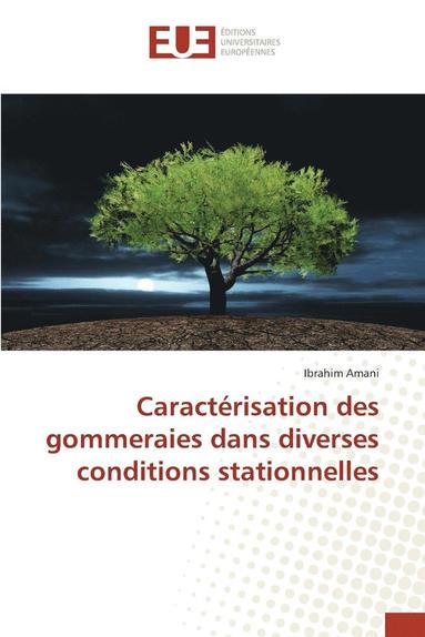 bokomslag Caractrisation Des Gommeraies Dans Diverses Conditions Stationnelles