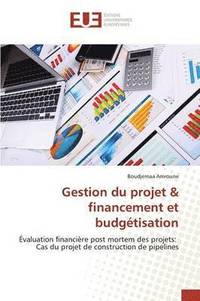 bokomslag Gestion Du Projet Financement Et Budgetisation