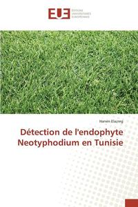 bokomslag Detection de l'Endophyte Neotyphodium En Tunisie