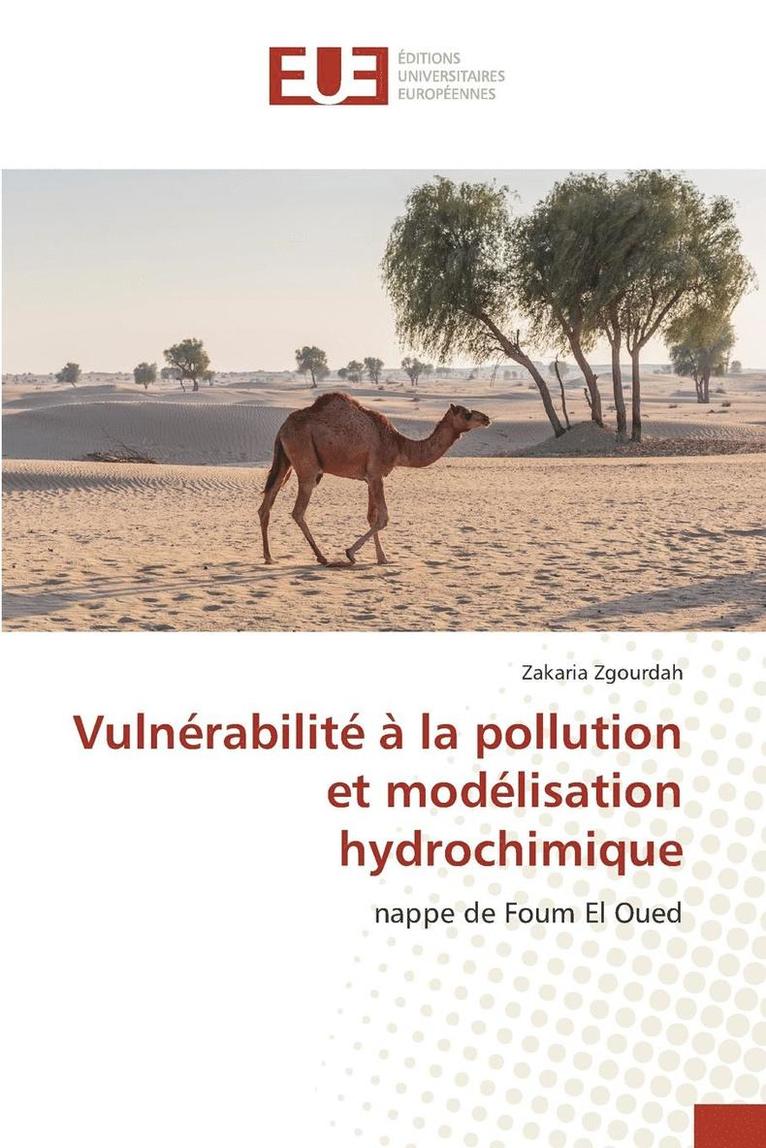 Vulnerabilite A La Pollution Et Modelisation Hydrochimique 1