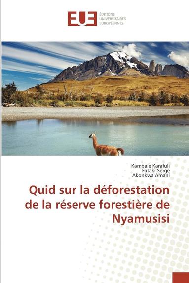 bokomslag Quid Sur La Dforestation de la Rserve Forestire de Nyamusisi