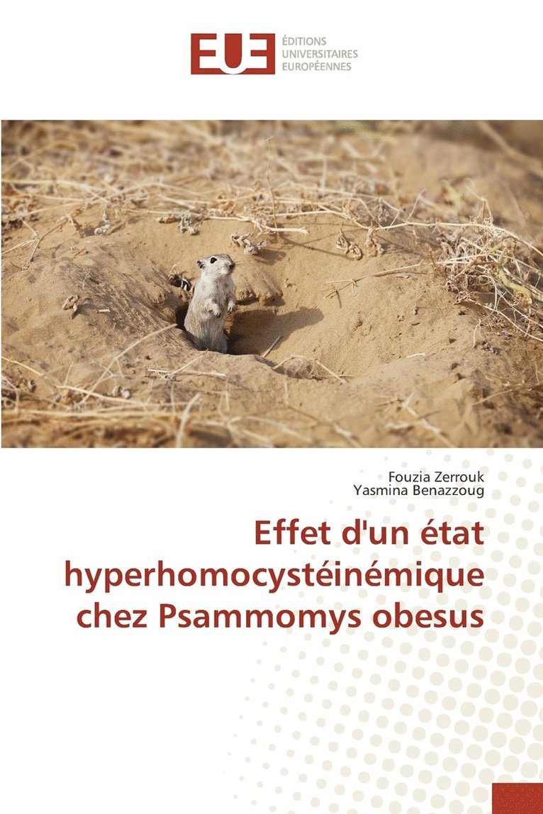 Effet d'un tat hyperhomocystinmique chez Psammomys obesus 1