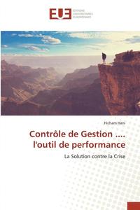 bokomslag Contrôle de Gestion .... Loutil de Performance