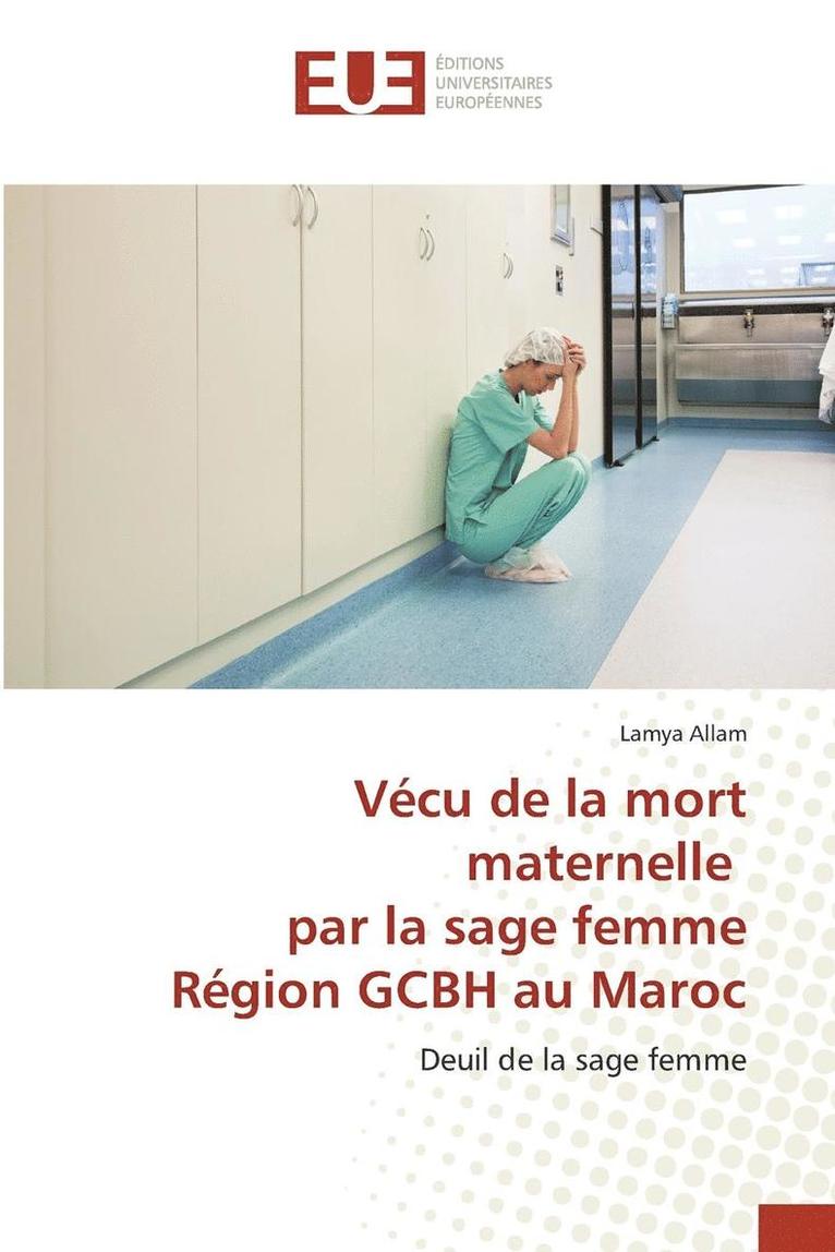 Vecu de la Mort Maternelle Par La Sage Femme Region Gcbh Au Maroc 1