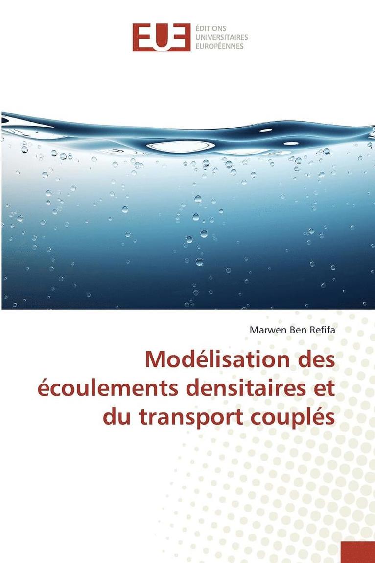 Refifa-M, REFIFA-M, Marwen Ben Refifa - Modélisation Des Écoulements Densitaires Et Du Transport Couplés, Häftad