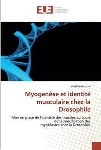 bokomslag Myogenese et identite musculaire chez la Drosophile