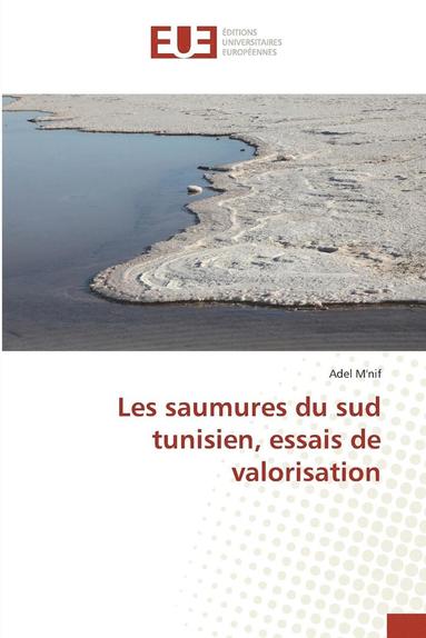 bokomslag Les Saumures Du Sud Tunisien, Essais de Valorisation