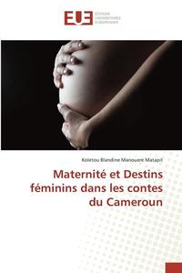 bokomslag Maternite Et Destins Feminins Dans Les Contes Du Cameroun
