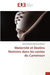 bokomslag Maternité Et Destins Féminins Dans Les Contes Du Cameroun