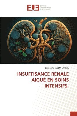 Insuffisance Renale Aiguë En Soins Intensifs 1