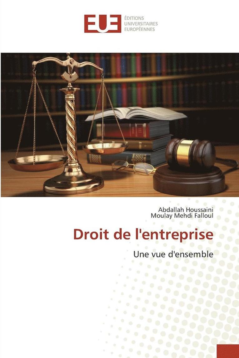 Droit de Lentreprise 1