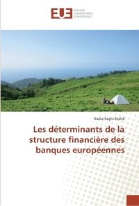 bokomslag Les dterminants de la structure financire des banques europennes