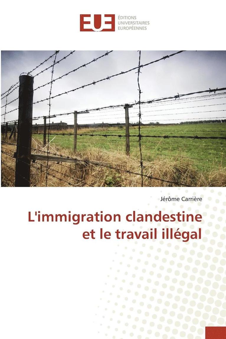 Limmigration Clandestine Et Le Travail Illegal 1