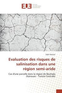 bokomslag Evaluation des risques de salinisation dans une rgion semi-aride