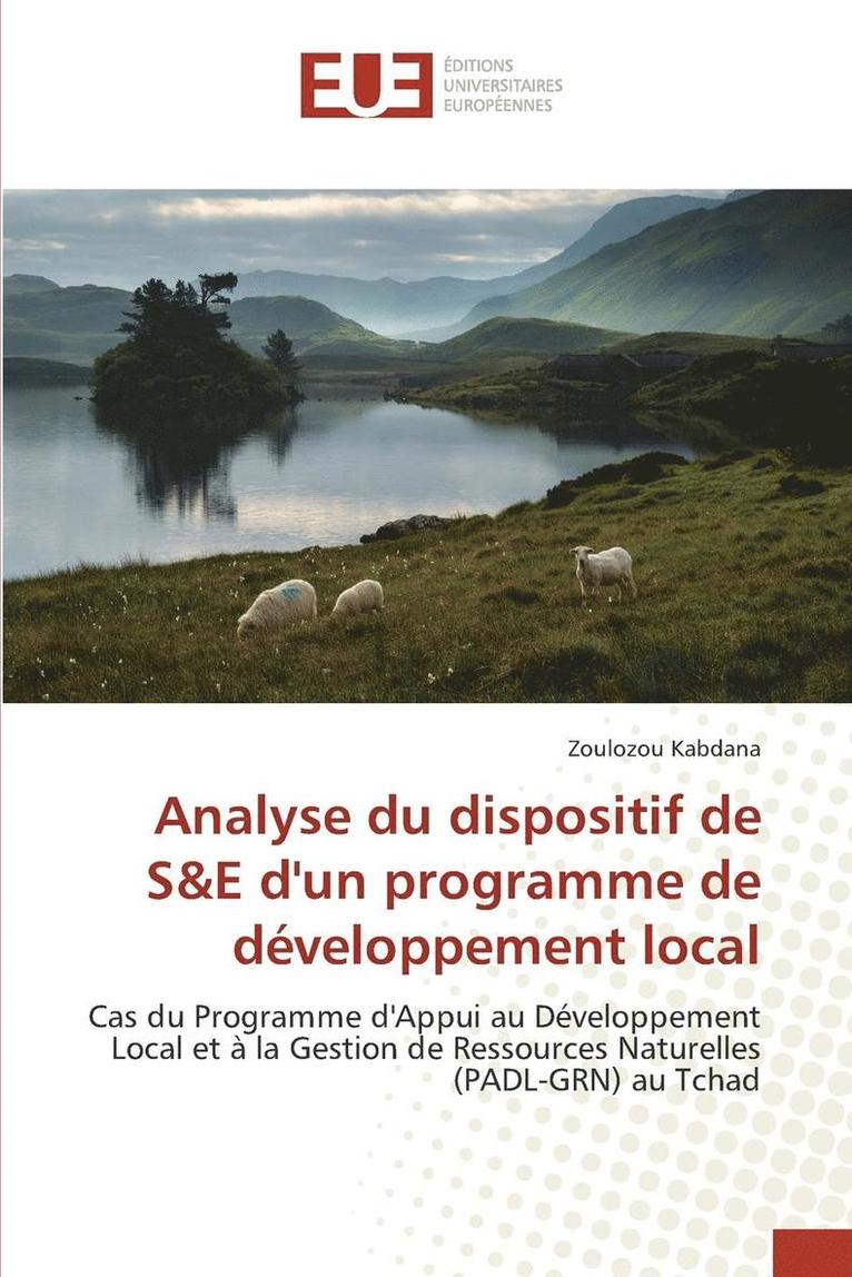 Analyse Du Dispositif de S E Dun Programme de Dveloppement Local 1