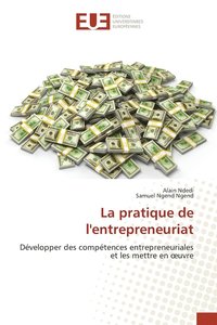 bokomslag La pratique de l'entrepreneuriat