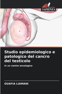 bokomslag Studio epidemiologico e patologico del cancro del testicolo