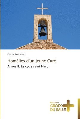 bokomslag Homélies d'un jeune curé