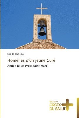 bokomslag Homelies d'un jeune cure