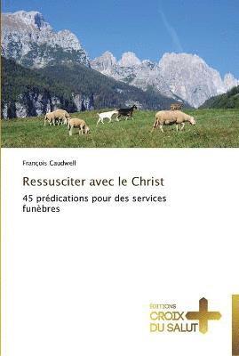 bokomslag Ressusciter avec le christ