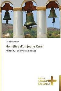 bokomslag Homelies d'un jeune cure