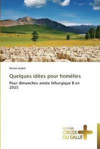 bokomslag Quelques idées pour homélies