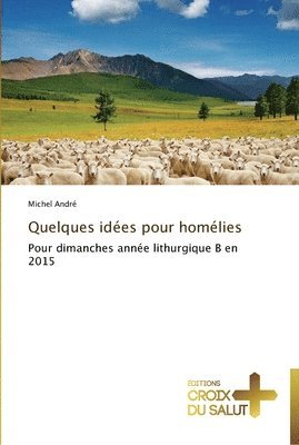 bokomslag Quelques idées pour homélies
