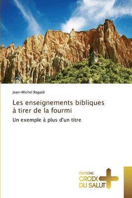 bokomslag Les Enseignements Bibliques  Tirer de la Fourmi