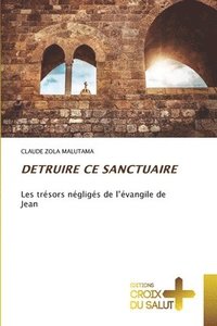 bokomslag Detruire CE Sanctuaire