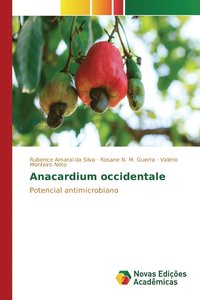 bokomslag Anacardium occidentale