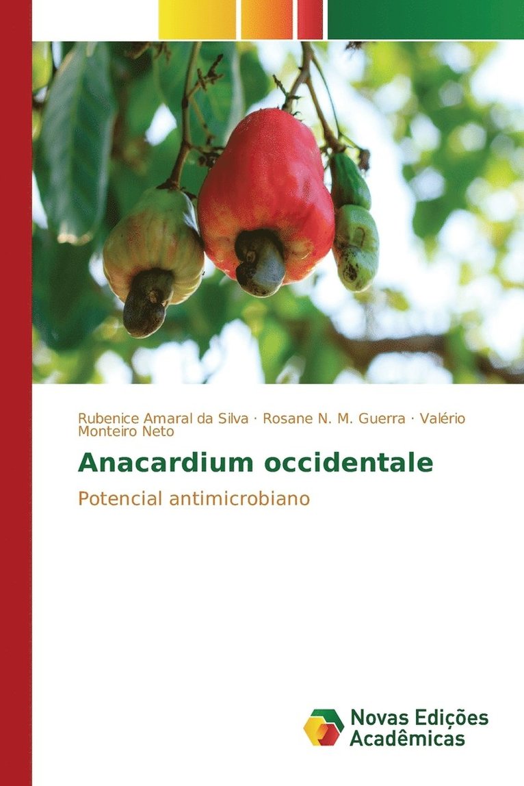 Anacardium occidentale 1